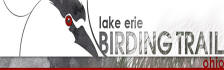 Lake Erie Birding Trail Link